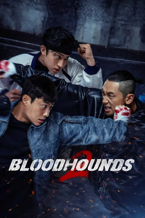 Download Bloodhounds (Season 1 – 2) Multi Audio {Hindi English Korean} NetFlix Series 480p | 720p | 1080p WEB DL 2 bloodhounds season 1