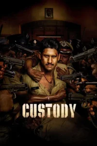 custody 2023