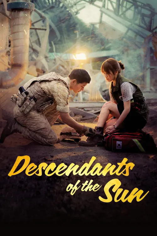 Download Descendants Of The Sun (Season 1) Dual Audio {Hindi Korean} ZEE5 WEB DL Series 720p | 1080p 15 descendants of the sun season 1